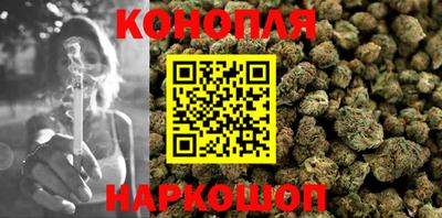 прущие грибы Краснодар