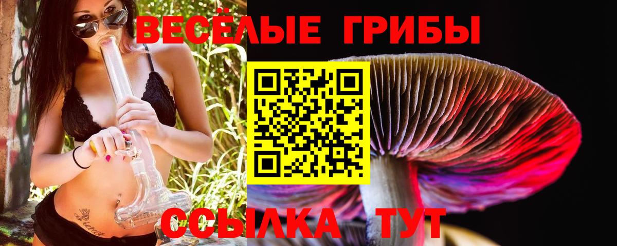 Псилоцибиновые грибы Magic Shrooms Киселёвск